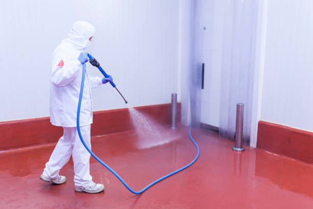 Boat and Dock Cleaning in Sunset Hills, MO